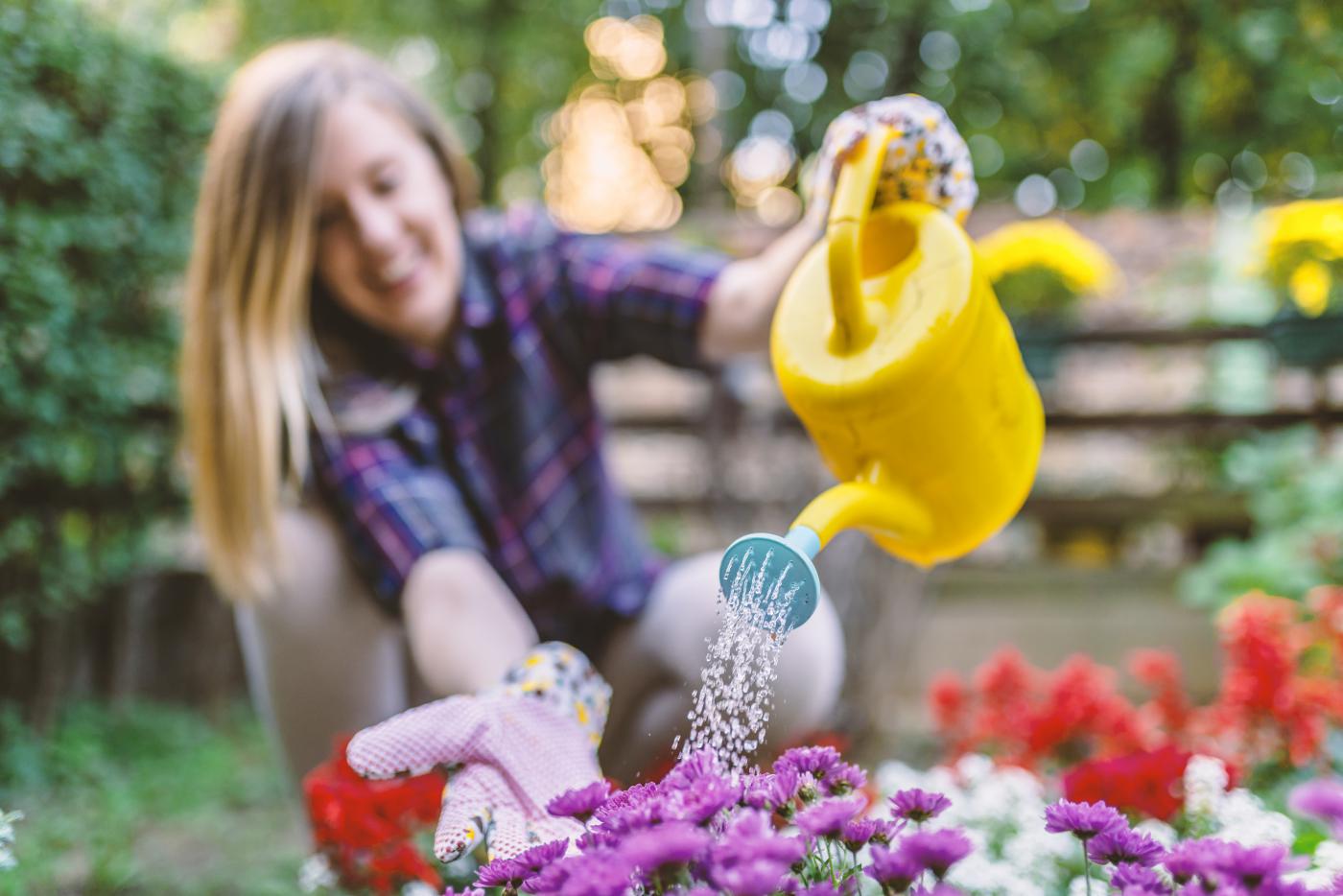 Fiori Locali e di Stagione: La Rivincita della Tradizione